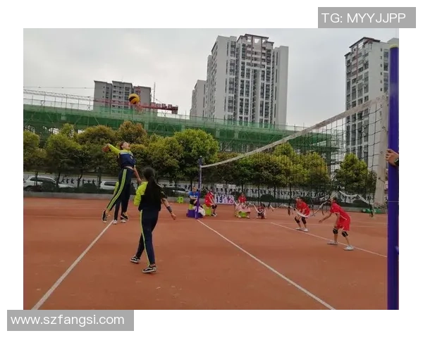 重庆排球队在钻石联赛中的个人能力表现分析与点评