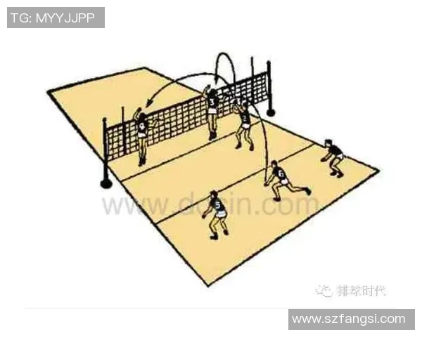 成都排球队节奏对比深度解析与战术探讨 成都排球队节奏对比深度解析与战术探讨